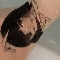 s2x6974892 / 미친년 Голи